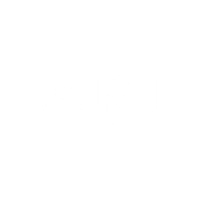 ARI THE BRAND